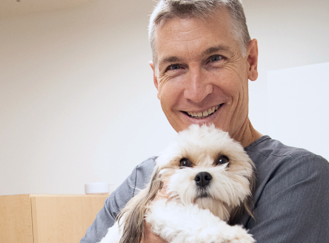 a vet holding a dog