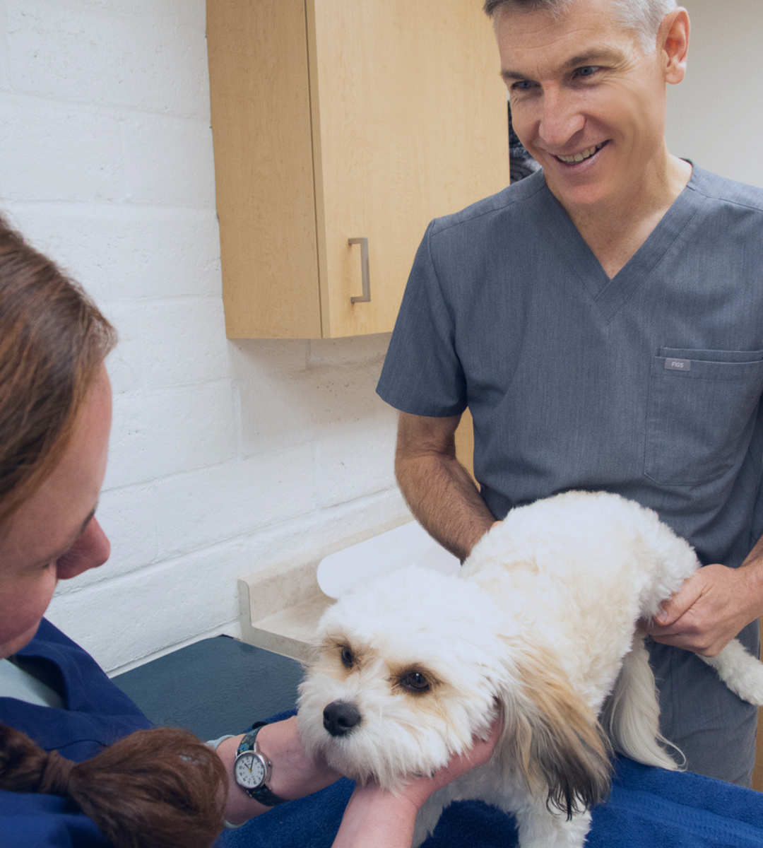 vets in scrubs holding a dog